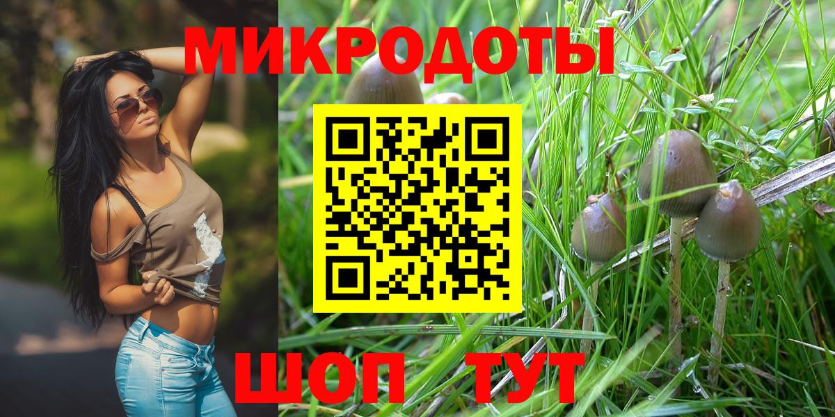 Галлюциногенные грибы Cubensis  Псилоцибиновые грибы мицелий  Каменск-Шахтинский  Вход с VPN 