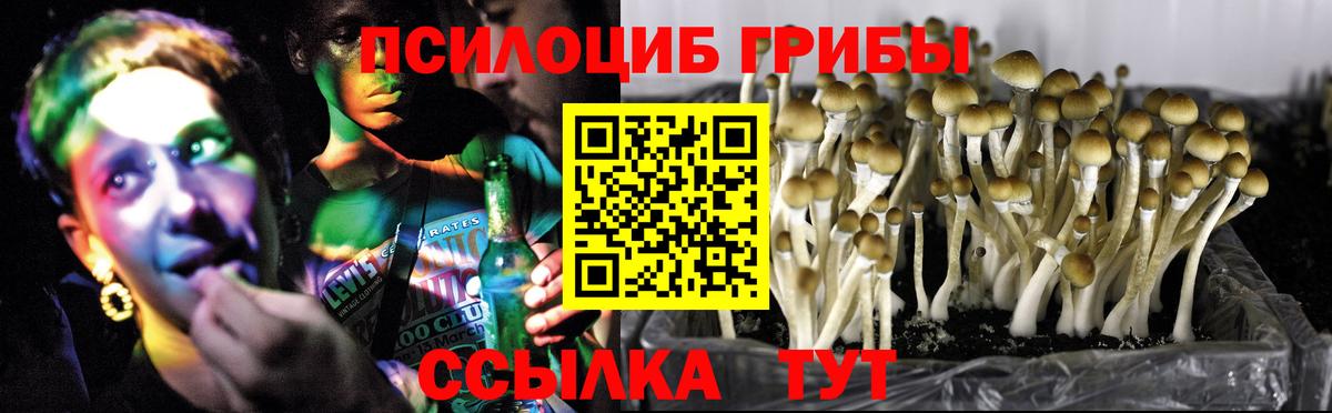 Галлюциногенные грибы MAGIC MUSHROOMS Каменск-Шахтинский